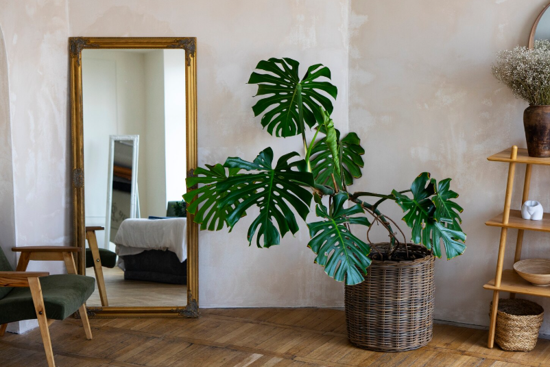 Moving from Boston to Florida: Snowbird Guide & Costs